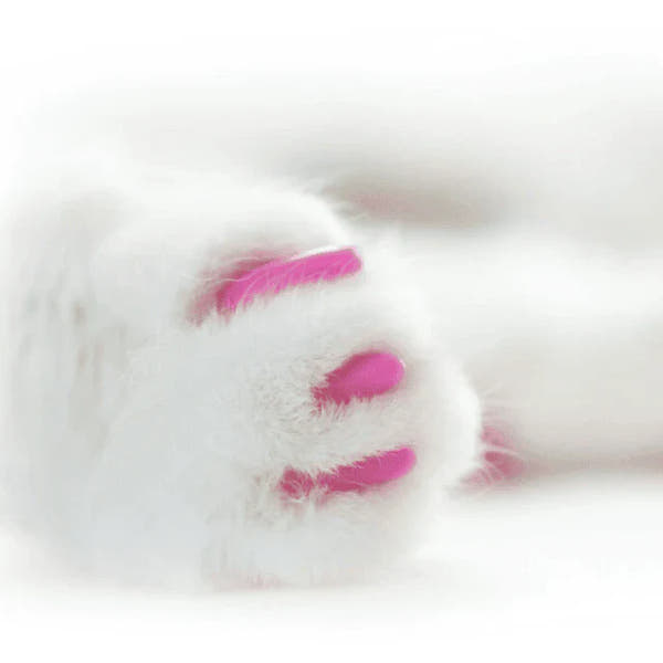 Silicone Cat Nail Caps