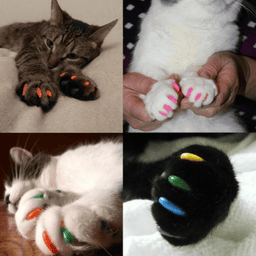Silicone Cat Nail Caps