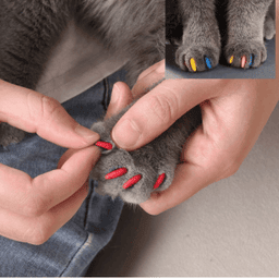 Silicone Cat Nail Caps