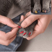 Silicone Cat Nail Caps