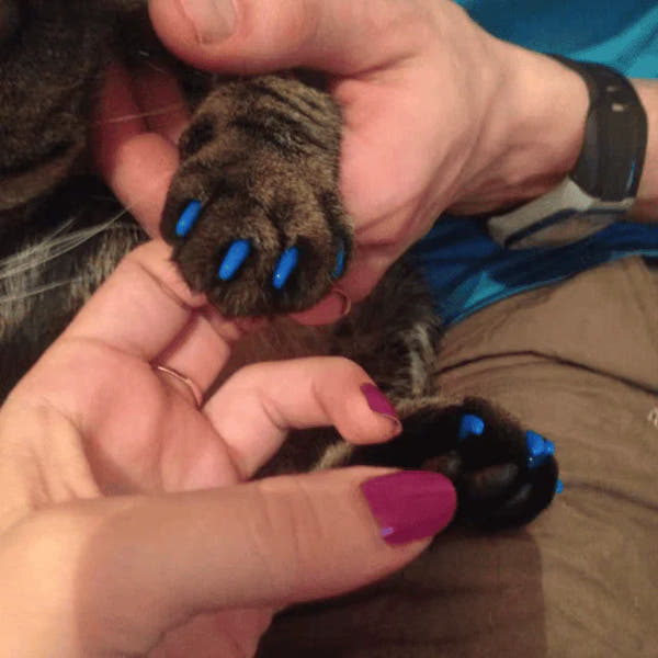 Silicone Cat Nail Caps