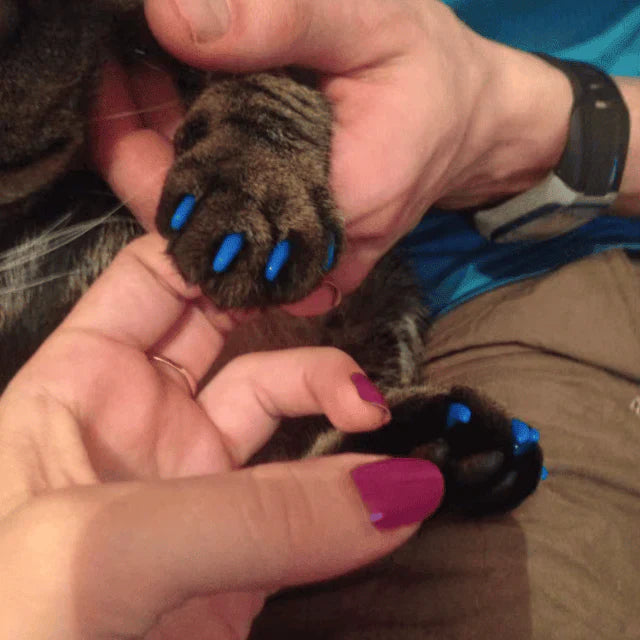 Silicone Cat Nail Caps