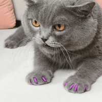 Silicone Cat Nail Caps