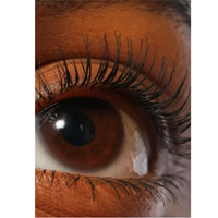 Sculpt & Lift Lash Mascara