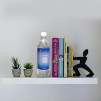 Diversion Water Bottle Safe