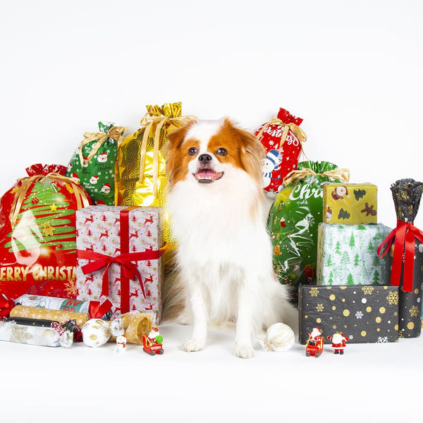 Christmas Gift Bags