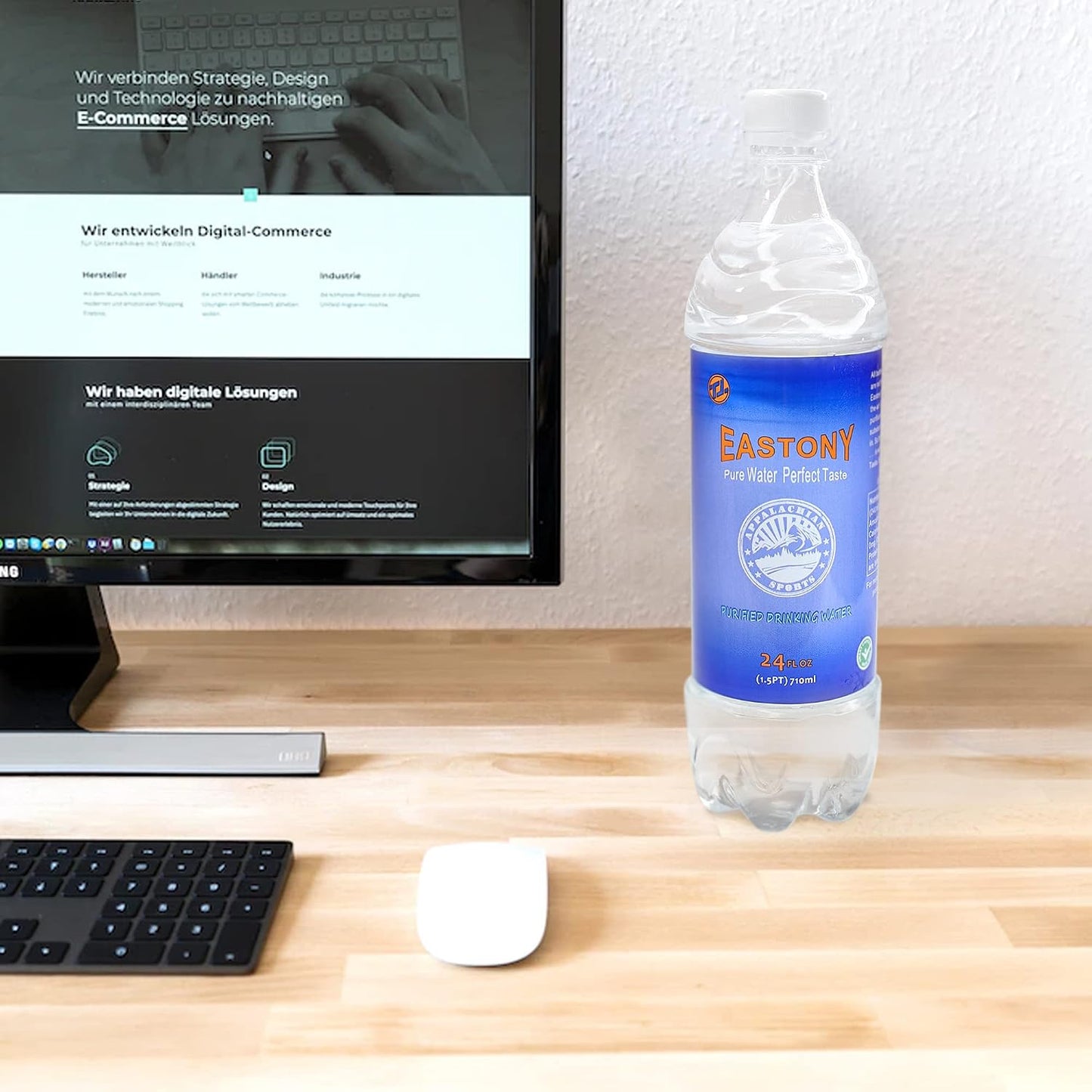 Diversion Water Bottle Safe