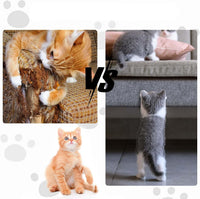 Cat Scratching Protector