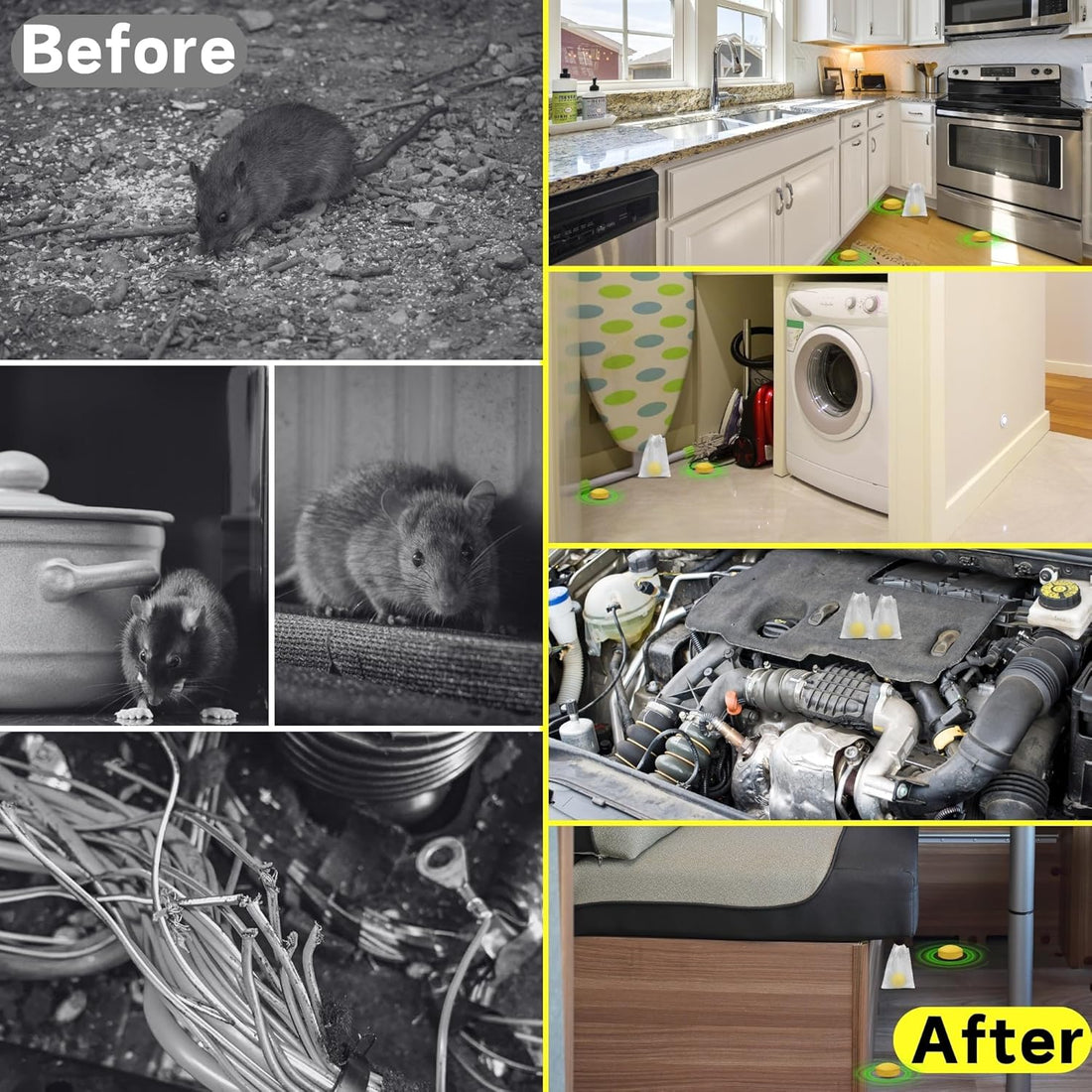 Rodent & Pest Repellent
