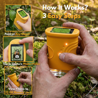 Discover a World of Tiny Details and Big Curiosity