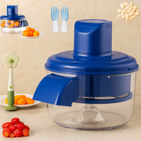Fruit Peeling Machine
