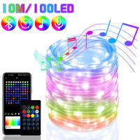 Smart RGB Christmas Lights