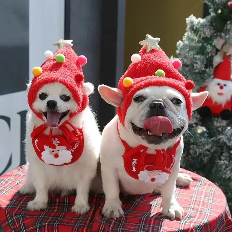 Christmas Pet Hat & Towel