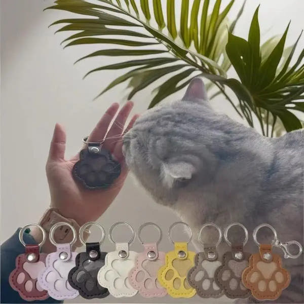 Pet Hair Storage Keychain