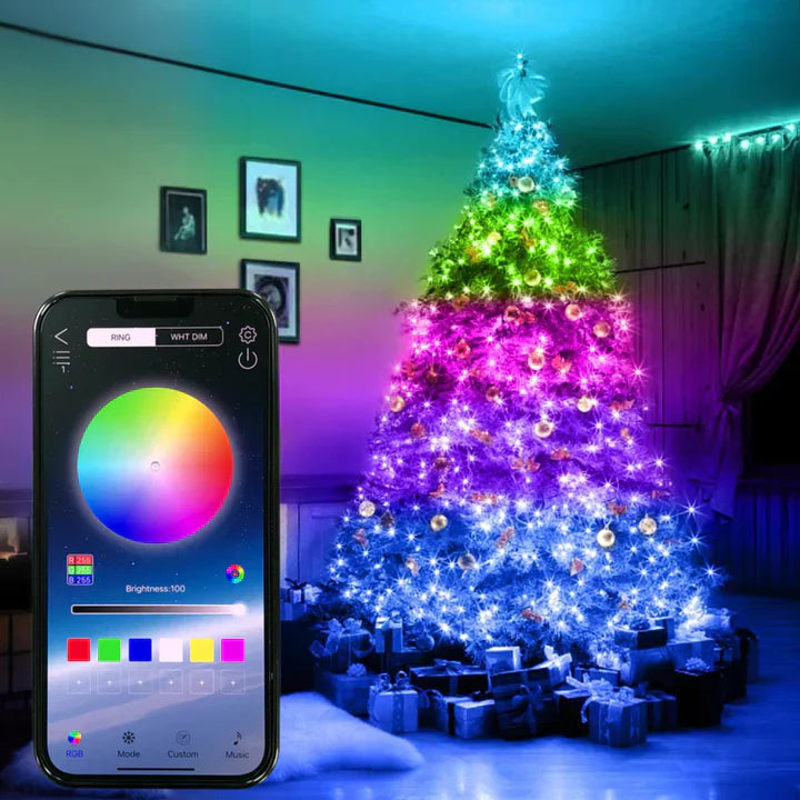 Smart RGB Christmas Lights