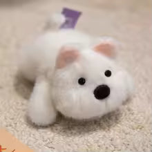 Plush Animal Fridge Magnets