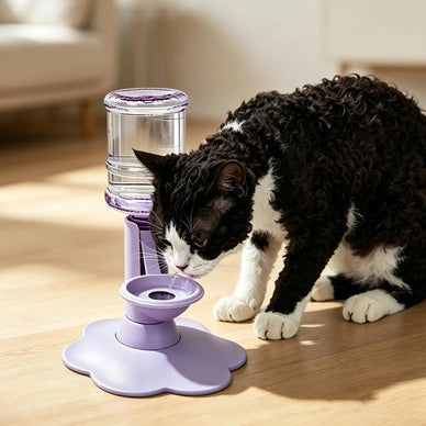 Discover a Cleaner, More Stable Way to Keep Cats Hydrated