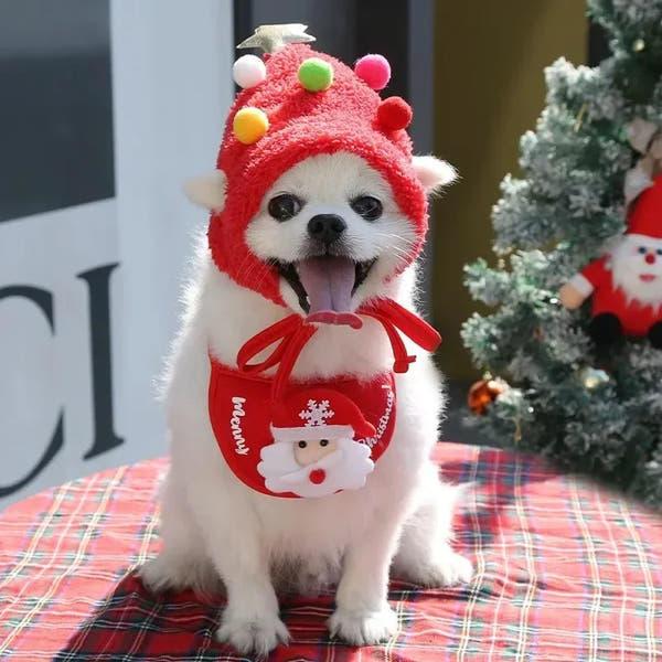 Christmas Pet Hat & Towel