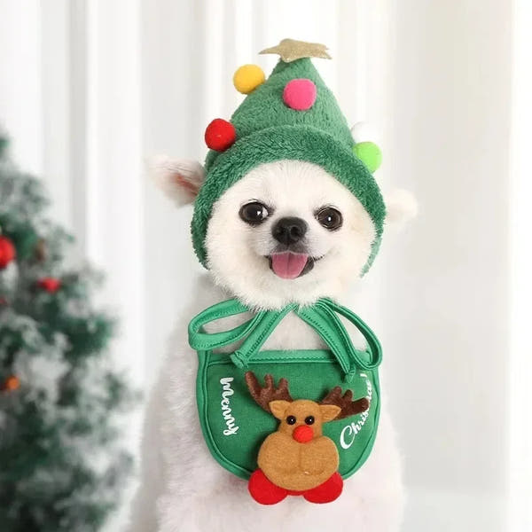 Christmas Pet Hat & Towel