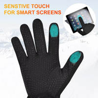 Electric Heated Gloves