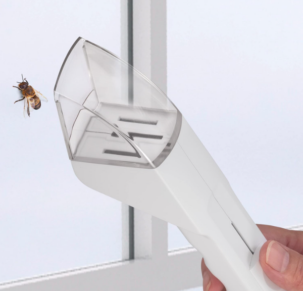 Humane Insect Catcher