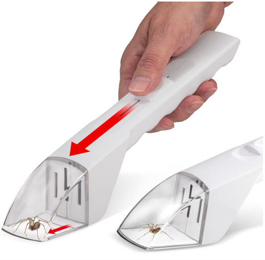 Humane Insect Catcher