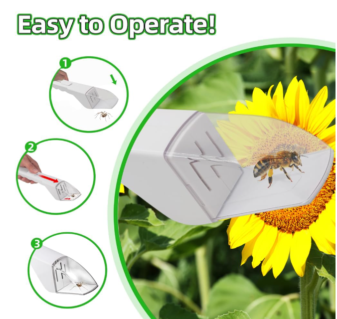 Humane Insect Catcher