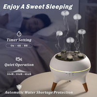 Rain Cloud Oil Diffuser
