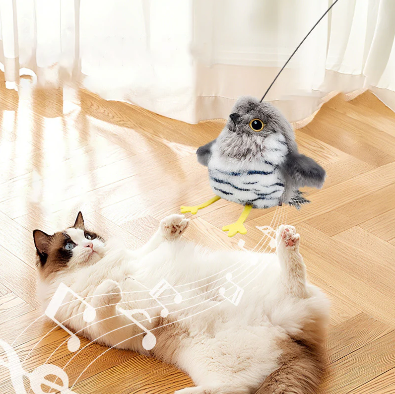 Interactive Cat Toy