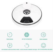Automatic Pet Feeder