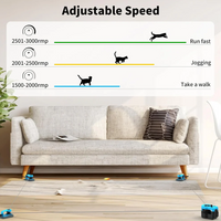 Interactive Cat Treadmill Toy