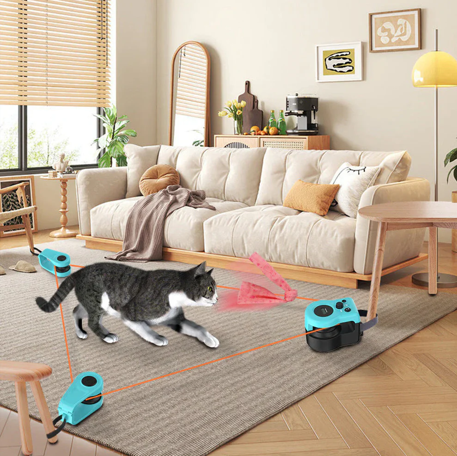Interactive Cat Treadmill Toy