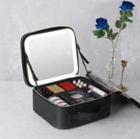 Lighted Makeup Bag with Mirror