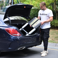 Telescoping Ladder
