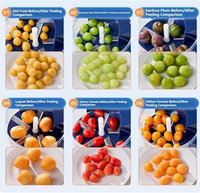 Fruit Peeling Machine