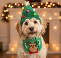 Christmas Pet Hat & Towel