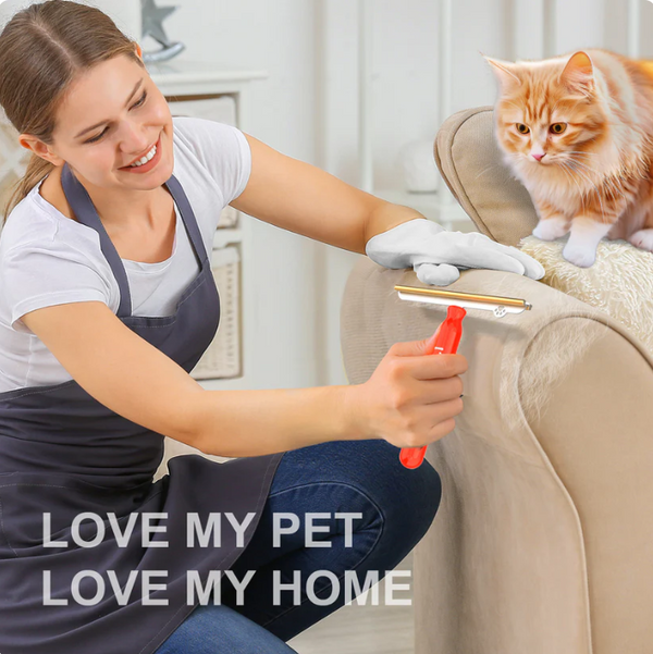 Reusable Pet Hair Remover Brush