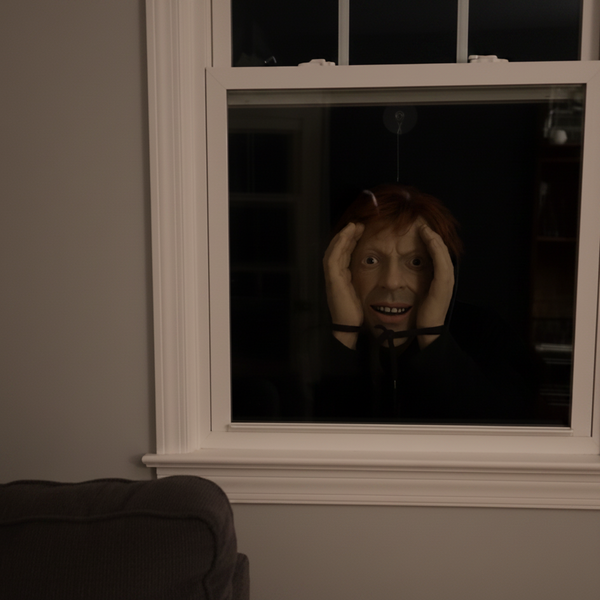 Scary Window Peeper Halloween Prank