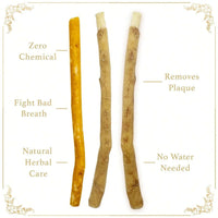 Natural Miswak Toothbrush